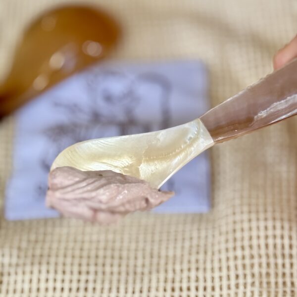 Mini Mother of Pearl Shell Spoon and Fork Set