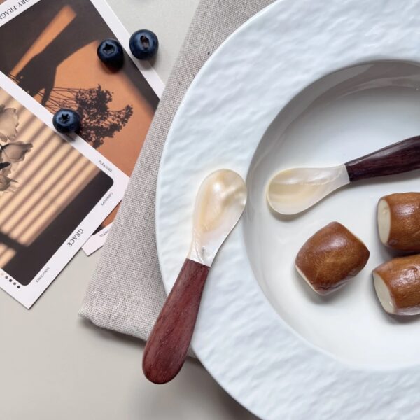 Mother of Pearl Shell Spoon with Wooden Handler