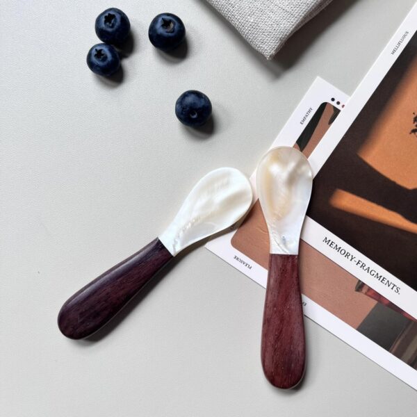 Mother of Pearl Shell Spoon with Wooden Handler