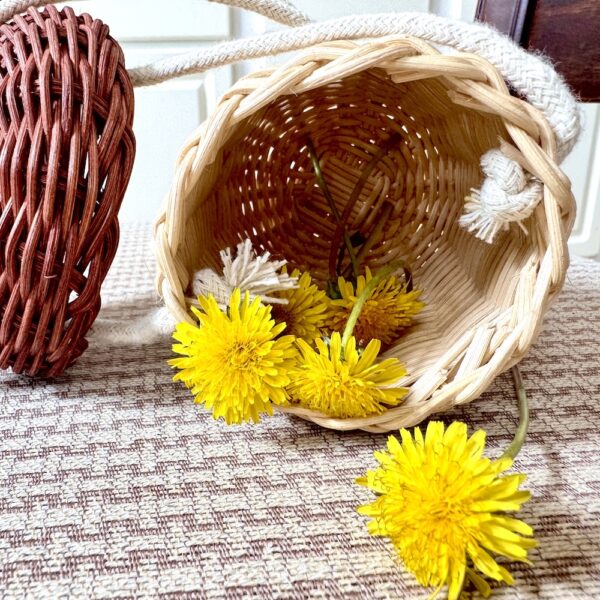 Mini Rattan Acorn Crossbody Basket Bag